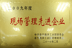 2009年度現場管理先進企業